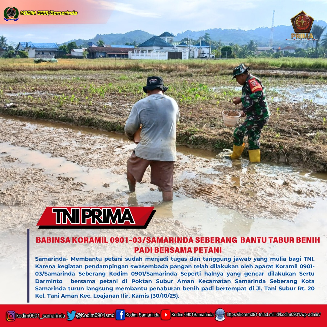 Babinsa Koramil 0901-03/Samarinda Seberang Bantu Tabur Benih Padi Bersama Petani