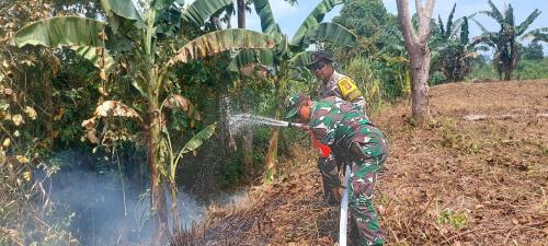 BABINSA KORAMIL 0901-02/SPNG TERJUN PADAMKAN KEBAKARAN LAHAN DI GUNUNG LINGAI
