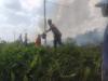 Babinsa Kodim 0901/Samarinda Sigap Padamkan Kebakaran Lahan di Sungai Siring